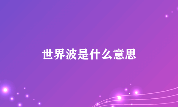 世界波是什么意思