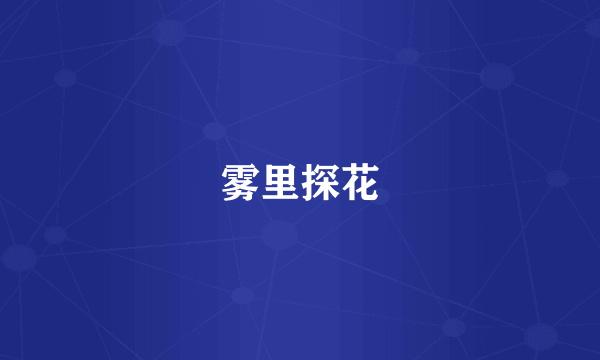 雾里探花