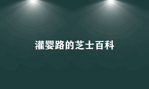 灌婴路的芝士百科