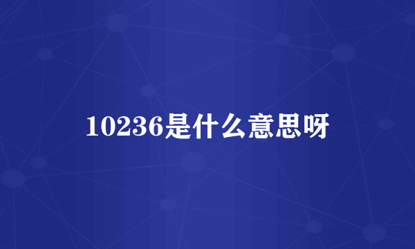 10236是什么意思呀