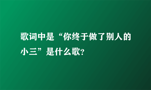歌词中是“你终于做了别人的小三”是什么歌？