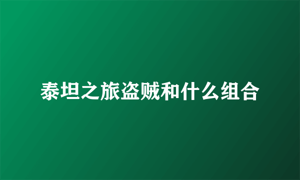 泰坦之旅盗贼和什么组合