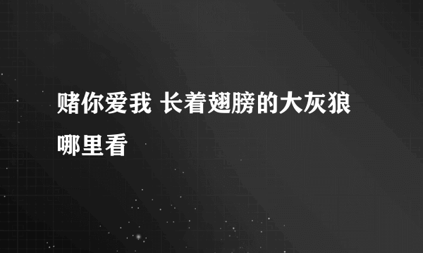 赌你爱我 长着翅膀的大灰狼哪里看