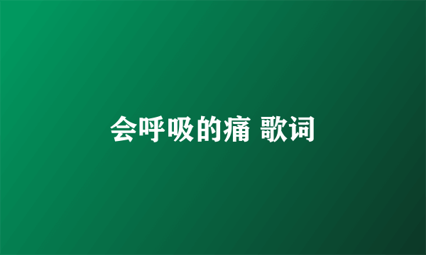 会呼吸的痛 歌词