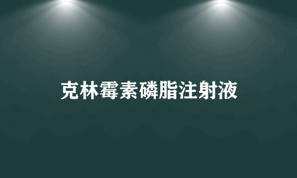 克林霉素磷脂注射液