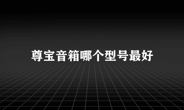 尊宝音箱哪个型号最好