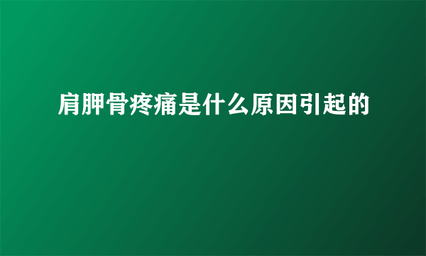 肩胛骨疼痛是什么原因引起的