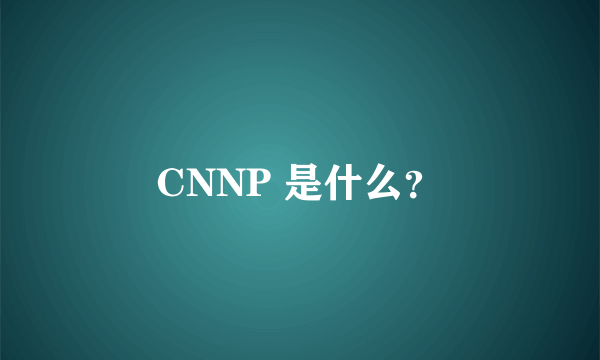 CNNP 是什么？
