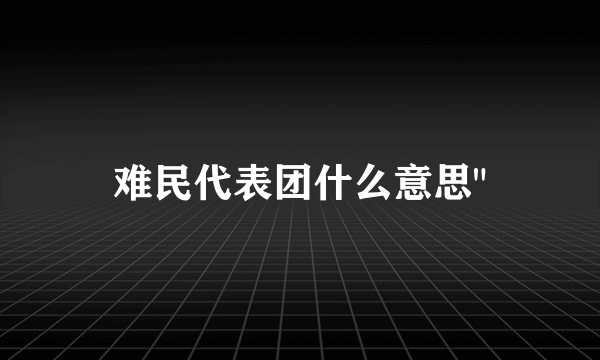 难民代表团什么意思
