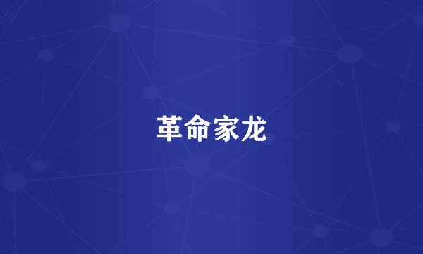 革命家龙