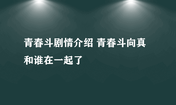 青春斗剧情介绍 青春斗向真和谁在一起了