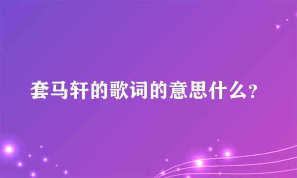 套马轩的歌词的意思什么？