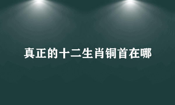 真正的十二生肖铜首在哪