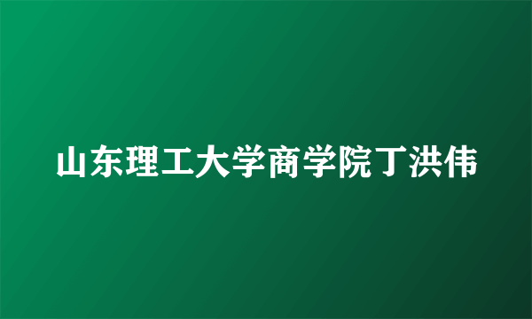 山东理工大学商学院丁洪伟
