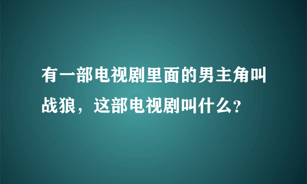 有一部电视剧里面的男主角叫战狼，这部电视剧叫什么？