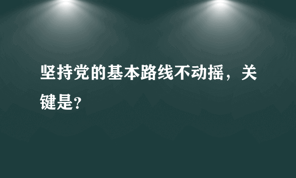 坚持党的基本路线不动摇，关键是？