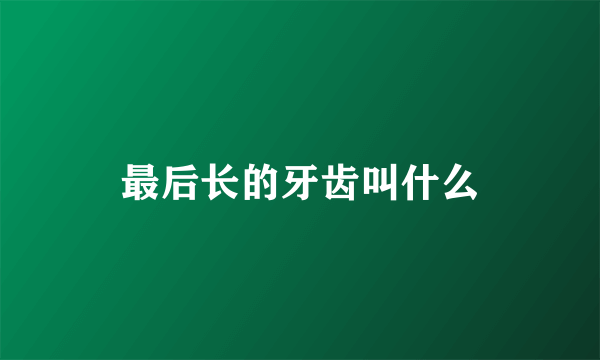 最后长的牙齿叫什么