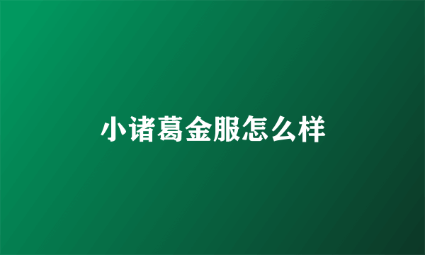 小诸葛金服怎么样