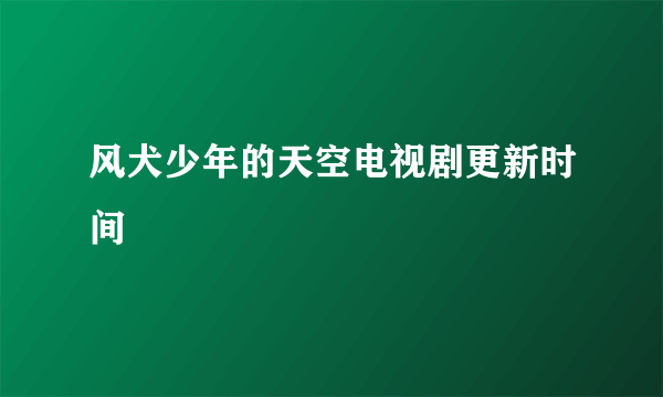 风犬少年的天空电视剧更新时间