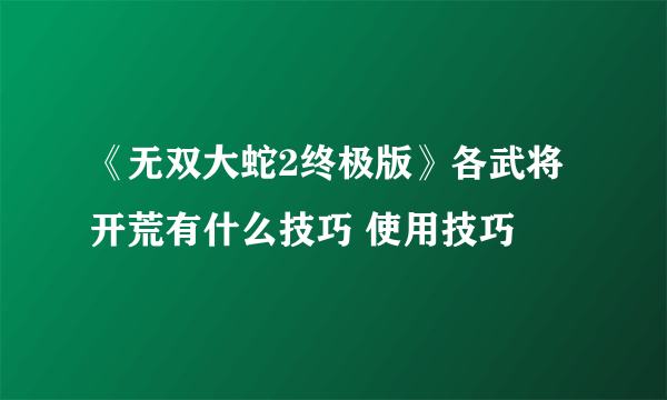 《无双大蛇2终极版》各武将开荒有什么技巧 使用技巧