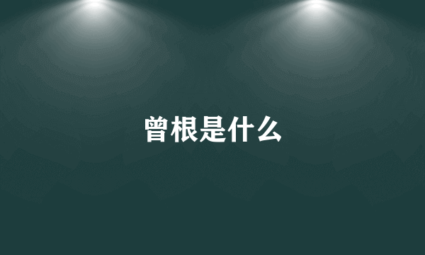 曾根是什么