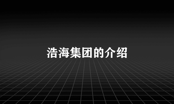 浩海集团的介绍