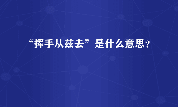 “挥手从兹去”是什么意思？