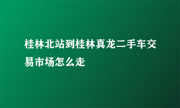 桂林北站到桂林真龙二手车交易市场怎么走