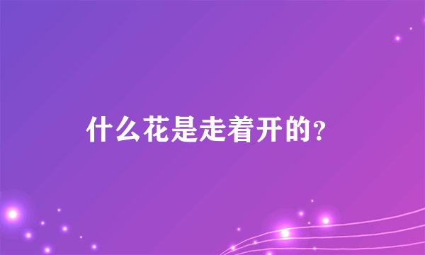 什么花是走着开的？