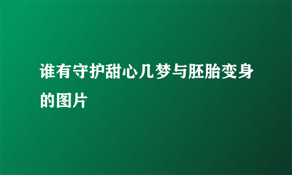 谁有守护甜心几梦与胚胎变身的图片