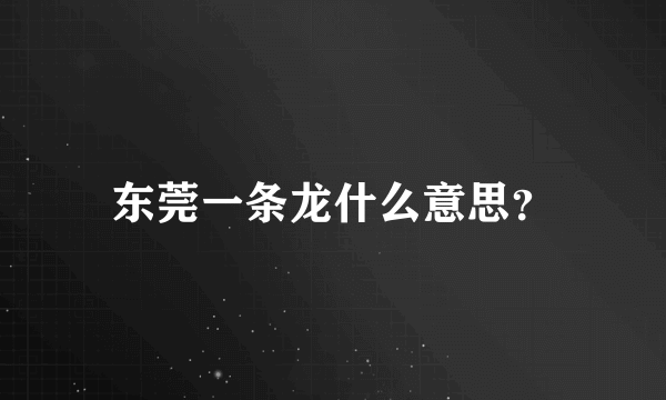 东莞一条龙什么意思？