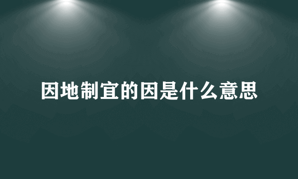 因地制宜的因是什么意思