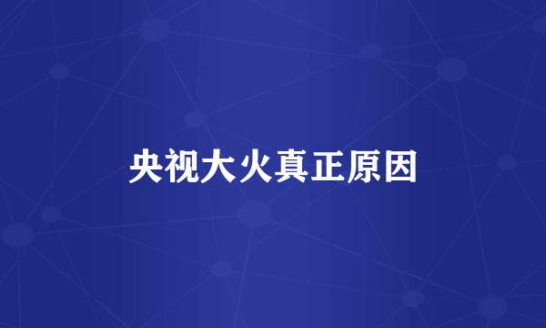 央视大火真正原因