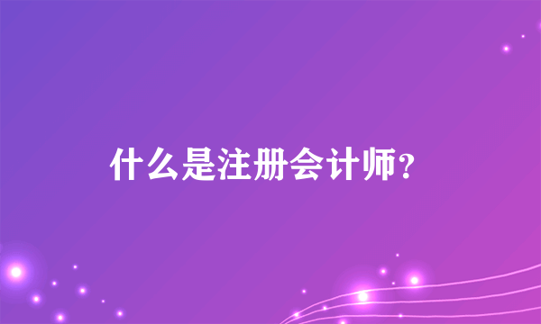 什么是注册会计师？