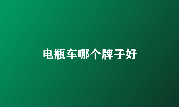 电瓶车哪个牌子好