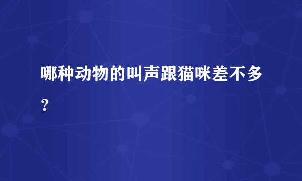 哪种动物的叫声跟猫咪差不多？