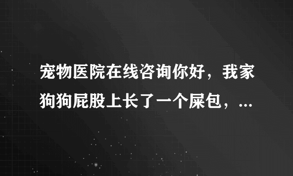 宠物医院在线咨询你好，我家狗狗屁股上长了一个屎包，有鸡蛋那么大