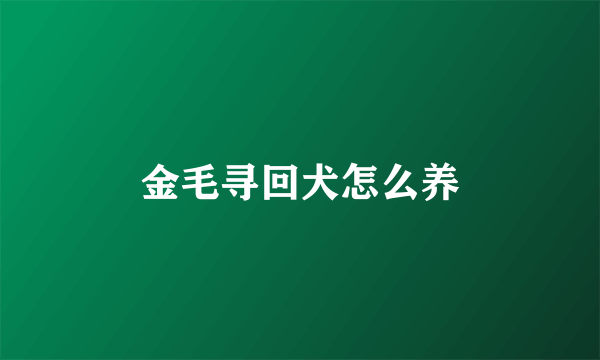 金毛寻回犬怎么养