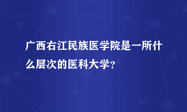 广西右江民族医学院是一所什么层次的医科大学？
