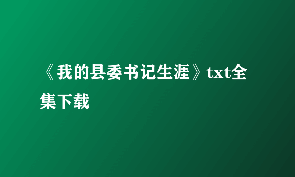 《我的县委书记生涯》txt全集下载
