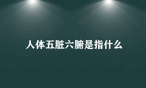  人体五脏六腑是指什么