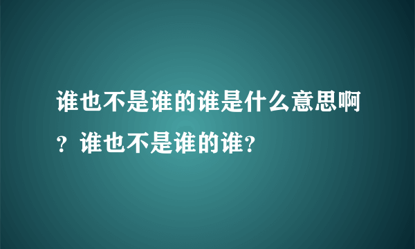 谁也不是谁的谁是什么意思啊？谁也不是谁的谁？