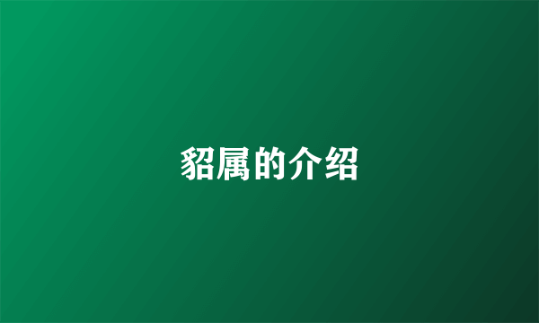 貂属的介绍