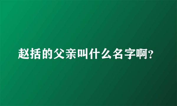 赵括的父亲叫什么名字啊？