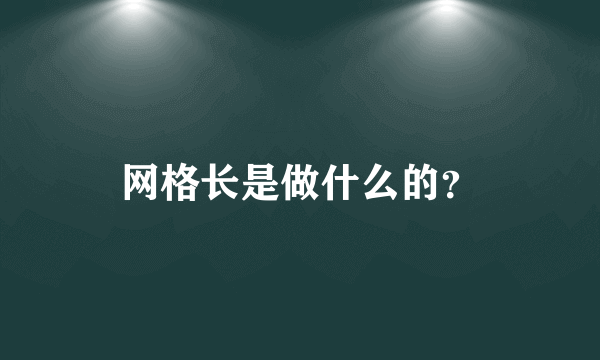 网格长是做什么的？