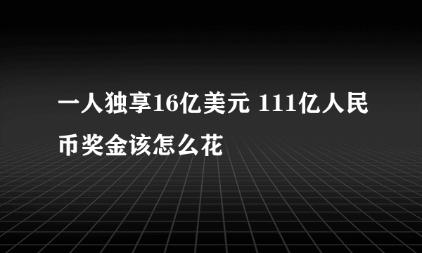 一人独享16亿美元 111亿人民币奖金该怎么花