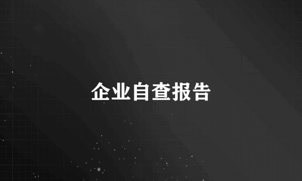 企业自查报告