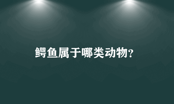 鳄鱼属于哪类动物？