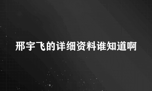 邢宇飞的详细资料谁知道啊