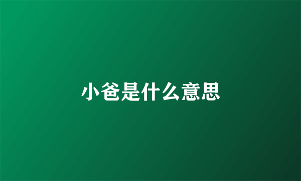 小爸是什么意思